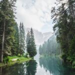 The Complete Natural Wellness Routine: A Simple Morning-to-Night Plan for More Energy, Better Digestion, and Long-Term Health